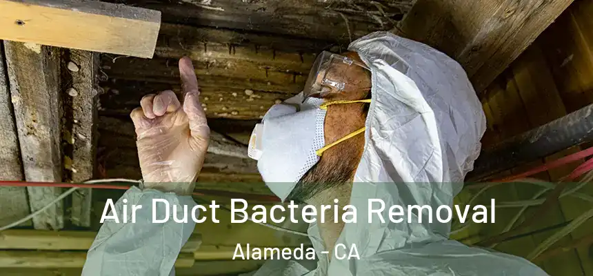 Air Duct Bacteria Removal Alameda - CA