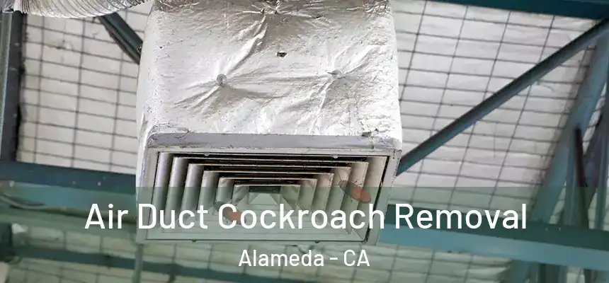 Air Duct Cockroach Removal Alameda - CA