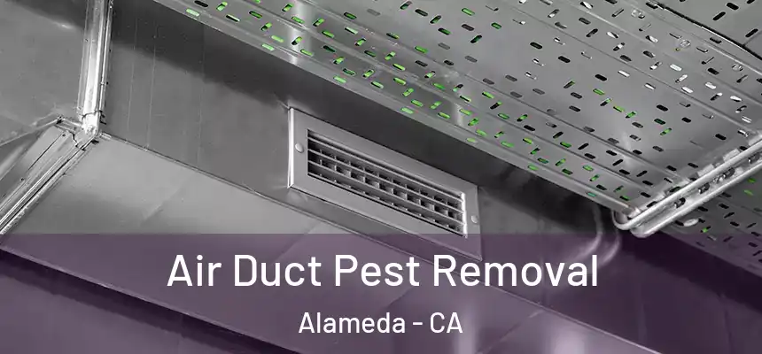 Air Duct Pest Removal Alameda - CA