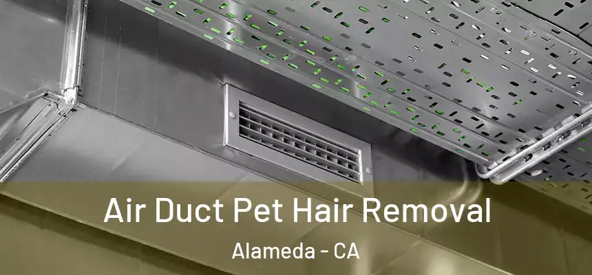 Air Duct Pet Hair Removal Alameda - CA
