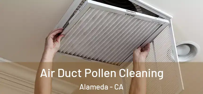 Air Duct Pollen Cleaning Alameda - CA