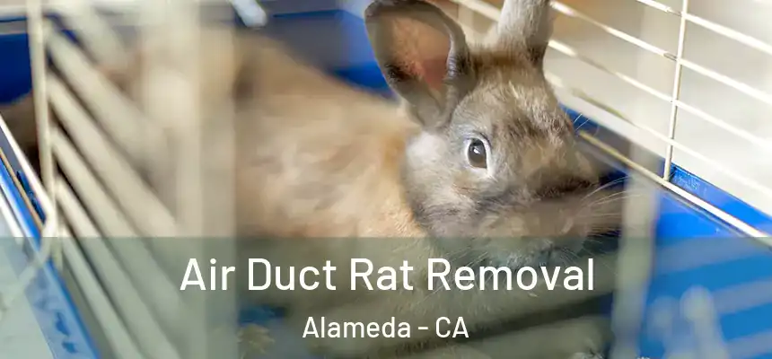 Air Duct Rat Removal Alameda - CA