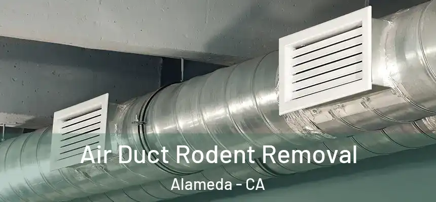 Air Duct Rodent Removal Alameda - CA