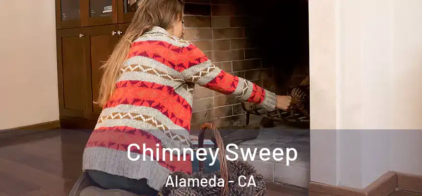  Chimney Sweep Alameda - CA