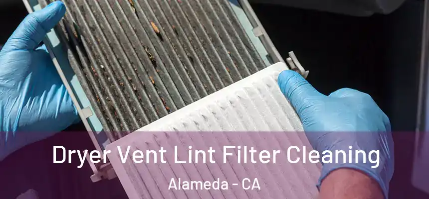 Dryer Vent Lint Filter Cleaning Alameda - CA