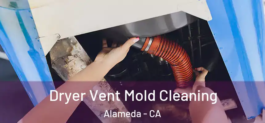  Dryer Vent Mold Cleaning Alameda - CA