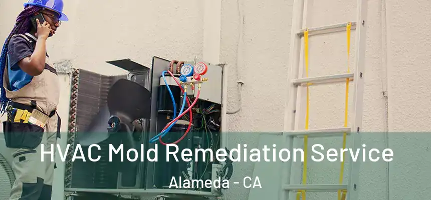  HVAC Mold Remediation Service Alameda - CA