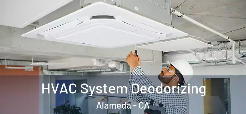 HVAC System Deodorizing Alameda - CA