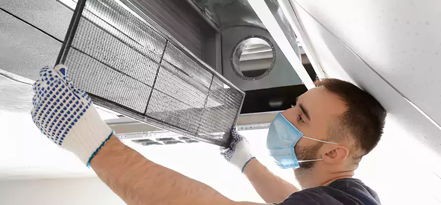 Diagnostic HVAC Coil & Blower Cleaning in Alameda