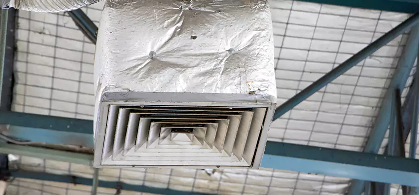 Our HVAC Mold Remediation Service Services in Alameda, CA