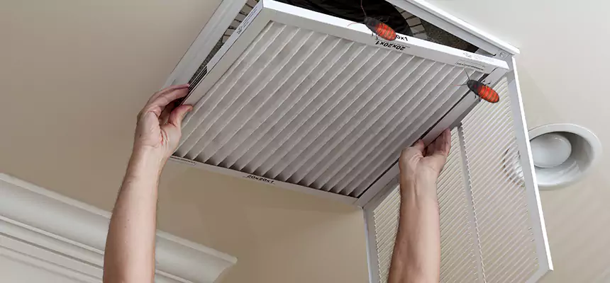 Our Insect Removal from Air Ducts Services in Alameda, CA