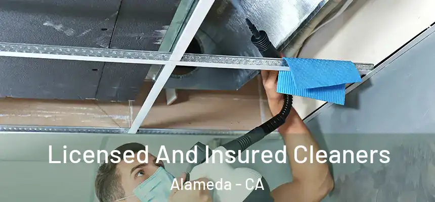  Licensed And Insured Cleaners Alameda - CA
