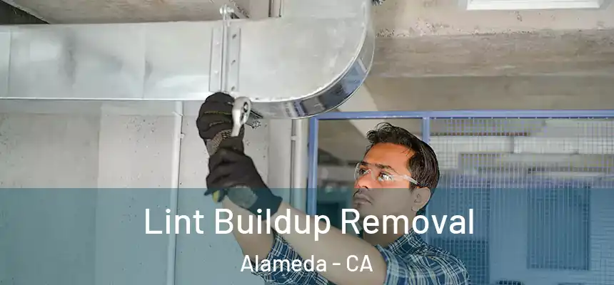 Lint Buildup Removal Alameda - CA