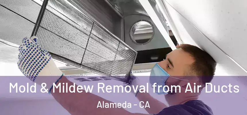  Mold & Mildew Removal from Air Ducts Alameda - CA