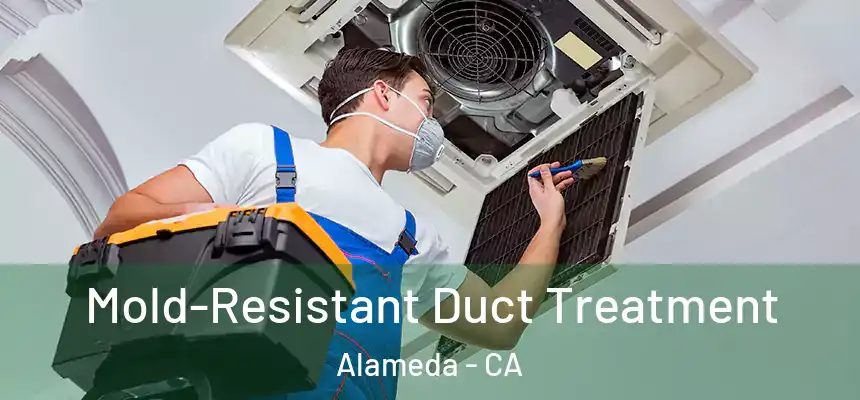 Mold-Resistant Duct Treatment Alameda - CA