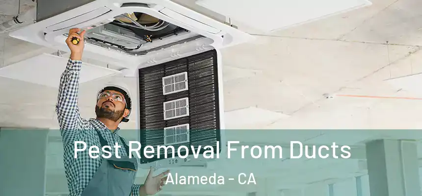 Pest Removal From Ducts Alameda - CA