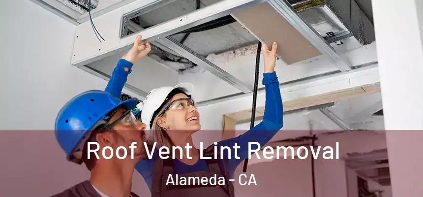 Roof Vent Lint Removal Alameda - CA