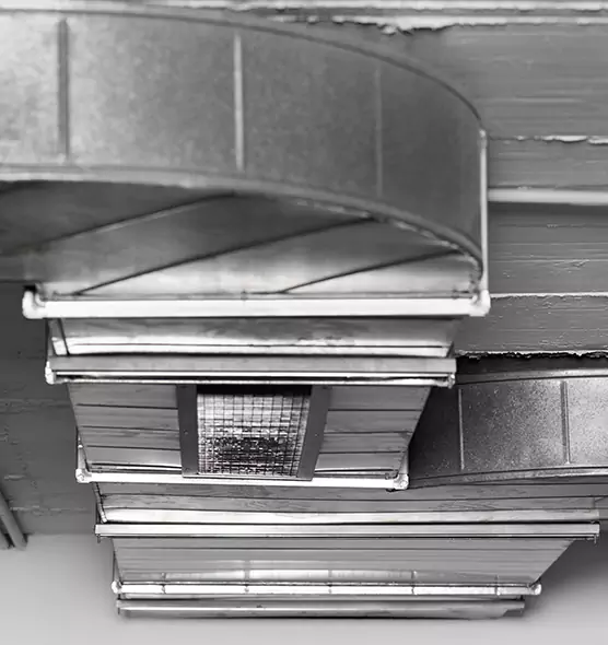 Professional Air Duct Pet Hair Removal in Alameda, CA