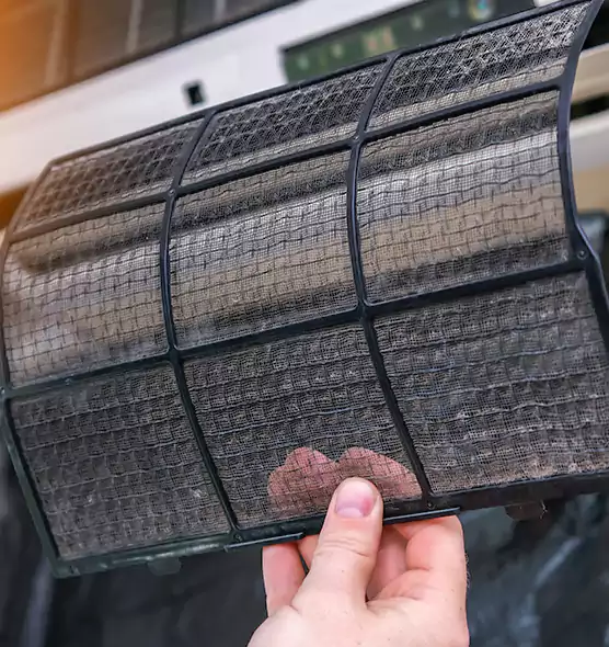 About Pet Dander Duct Cleaning in Alameda, CA